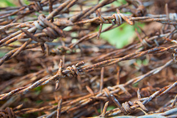 Old barbed wire fence