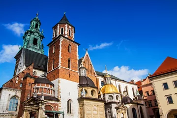 Tuinposter Wawel hill with cathedral in Krakow © pab_map