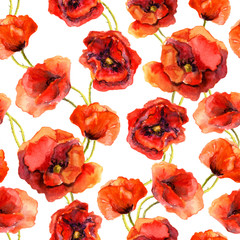 Seamless floral wallpaper with colorful poppies. Watercolor painting