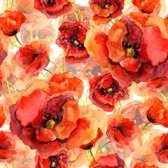 Seamless floral wallpaper with colorful poppies. Watercolor painting