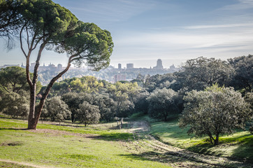 Madrid from the casa de campo