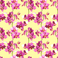 Fototapeta na wymiar Yellow pattern with floral design in orchids flowers 