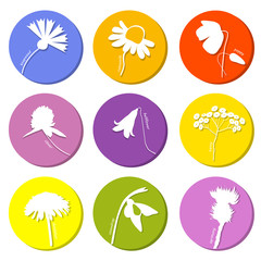 Wild flowers icons set