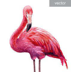 Colorful pink flamingo - obrazy, fototapety, plakaty