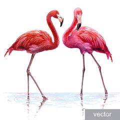 Fotobehang Colorful pink flamingo © doublebubble_rus