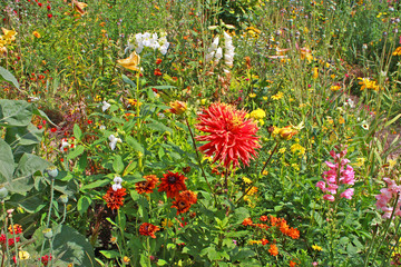 Naklejka premium Jardin de Giverny