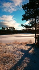 Beautiful sunny winter day