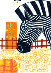 Zebra portrait. Kid marker multicolored vertical drawing.