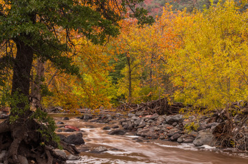 Sedona Arizona on a Rainy Autumn Day