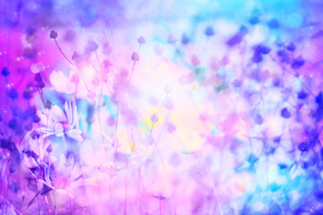Obraz na płótnie Canvas Dreamy beautiful background with meadow of flowers