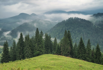 Mountains during rain. Beautiful natural landscape in the summer time