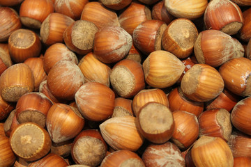 noisettes