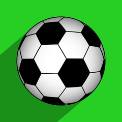 Fototapeta premium soccer ball