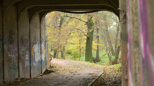 Rack focus in a grunge graphitti park tunnel, on autumn day