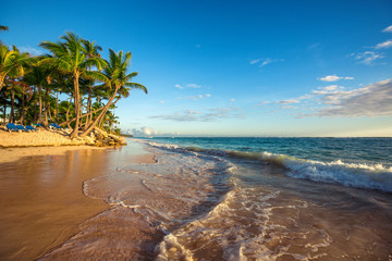 Landscape of paradise tropical island beach