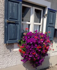 Blumendeko am Fenster