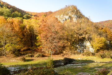 Colorful autumn landscape in the mountains
