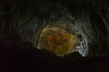 View from inside a cave looking out to autumn forest
