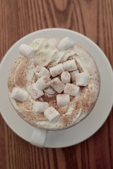 Hot Chocolate with Marshmallows 