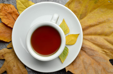 bio herbal natural tea