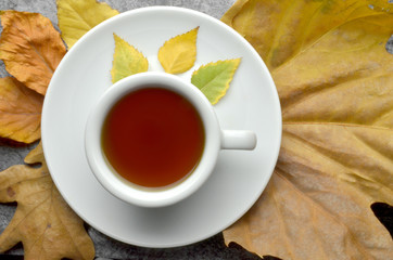 bio herbal natural tea