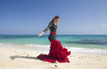 flamenco and ocean
