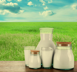 Pitcher, jars and glasses of milk on field background