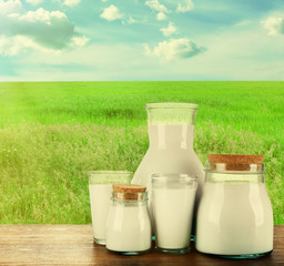 Pitcher, jars and glasses of milk on field background