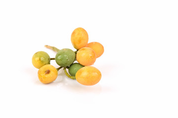 Neem, Neem Tree, Nim, Margosa, Quinine, Holy tree, Indian Margosa Tree, Pride of china, Siamese...