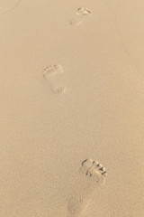 foot prints on sand at the beach in the afternoon