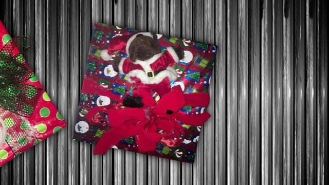 Colorfully-wrapped Christmas gifts move along a conveyor belt.	