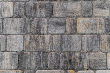Pavement. The path laid out colored paving slabs.