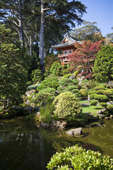 Fototapeta na wymiar Japanese Tea Garden, San Francisco