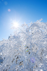 Seoraksan mountains is covered by morning fog in winter, Korea.
