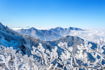 Fototapeta premium Seoraksan mountains is covered by morning fog in winter, Korea.