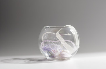 Decorative Round Shape Vase Sgainst Gray Background.