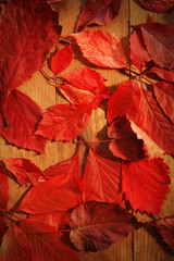 Background of red autumn leaves on wooden table, close-up