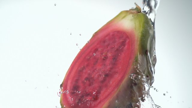 Water splash and prickly pears. Shot with high speed camera, phantom flex 4K. Slow Motion. 