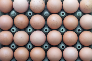 Eggs with plastic crates