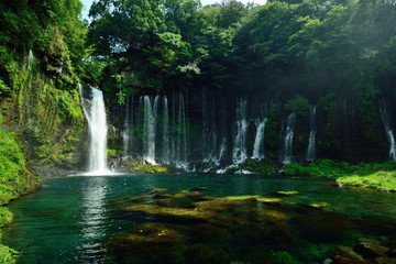 白糸の滝 Shiraito Falls in Japan