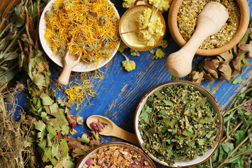 Assortment of dry medicinal herbs in bowls on wooden background top view