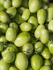 Green tomatoes background