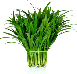 Fresh Pandan leaves isolated on white background