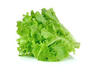 green leaves lettuce isolated on white background