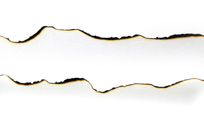 Ripped paper, space for copy