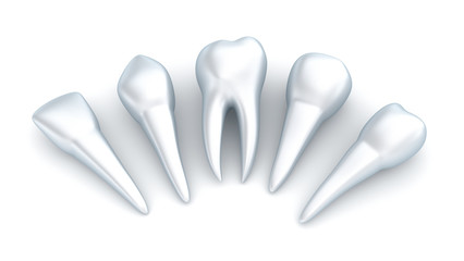 Teeth and implant, Dental concept over white
