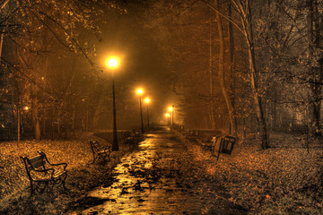 Fototapeta Zamglona alejka w parku jesienią. obraz