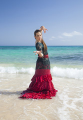 flamenco and ocean