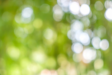 Obraz premium abstract background boke