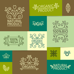 Set of vintage logos, signs, posters in a linear style with swirls, leaves, branches and berries. For natural, organic, bio products. Vector